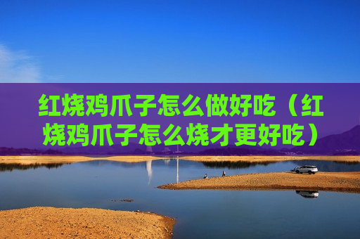红烧鸡爪子怎么做好吃（红烧鸡爪子怎么烧才更好吃）