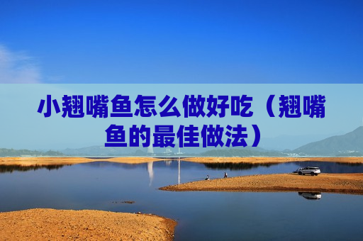 小翘嘴鱼怎么做好吃（翘嘴鱼的最佳做法）