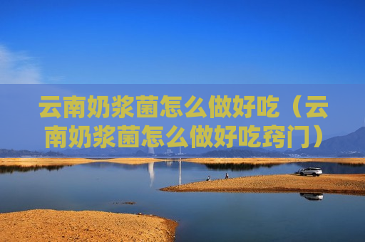 云南奶浆菌怎么做好吃（云南奶浆菌怎么做好吃窍门）