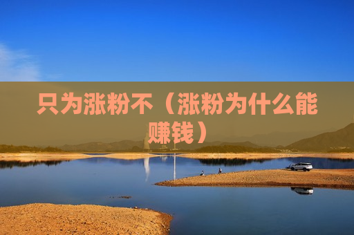 只为涨粉不（涨粉为什么能赚钱）