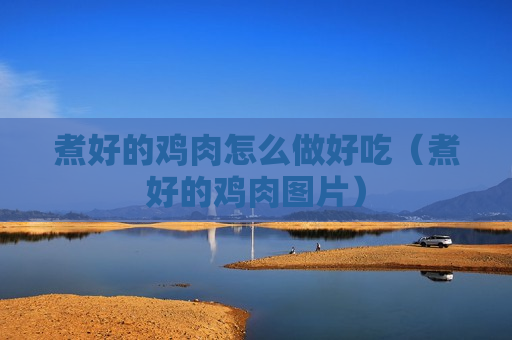 煮好的鸡肉怎么做好吃（煮好的鸡肉图片）