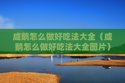 咸鹅怎么做好吃法大全（咸鹅怎么做好吃法大全图片）