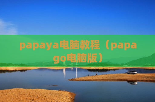 papaya电脑教程（papago电脑版）