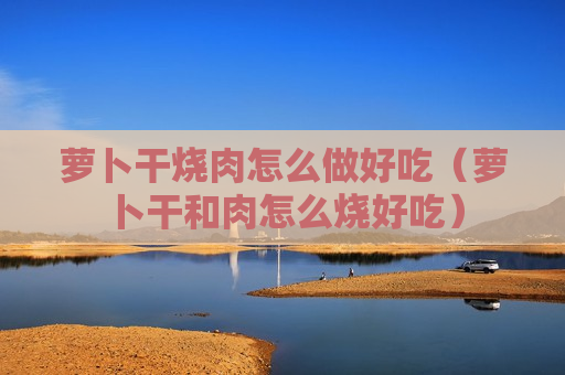 萝卜干烧肉怎么做好吃（萝卜干和肉怎么烧好吃）