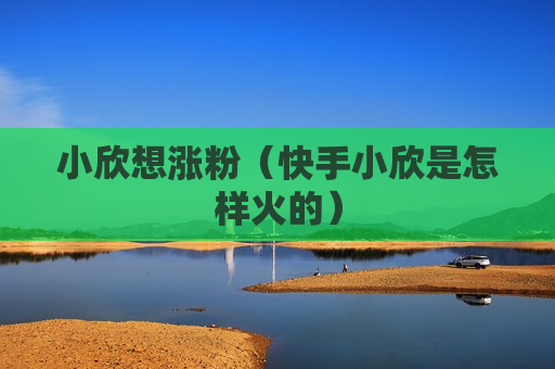 小欣想涨粉（快手小欣是怎样火的）
