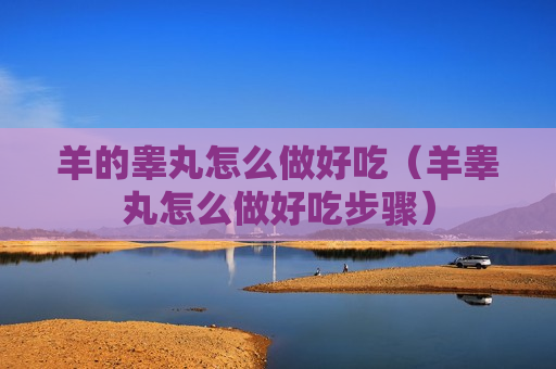 羊的睾丸怎么做好吃（羊睾丸怎么做好吃步骤）