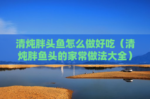 清炖胖头鱼怎么做好吃（清炖胖鱼头的家常做法大全）