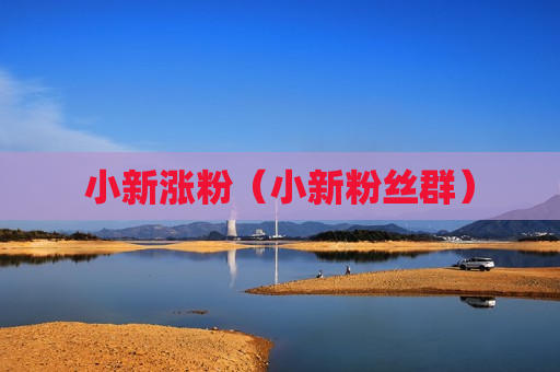小新涨粉（小新粉丝群）