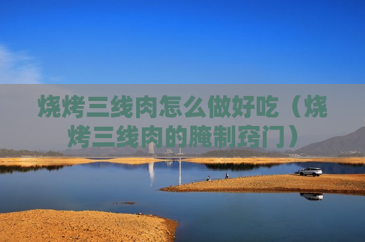 烧烤三线肉怎么做好吃（烧烤三线肉的腌制窍门）