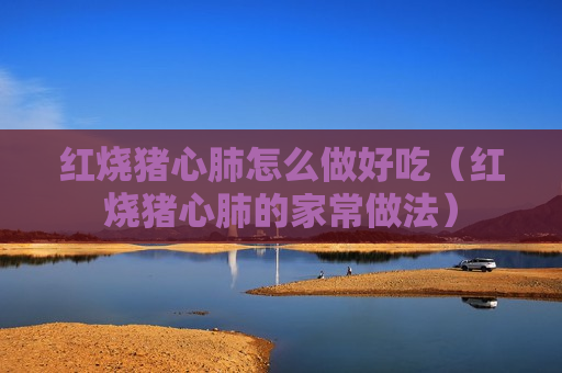 红烧猪心肺怎么做好吃（红烧猪心肺的家常做法）