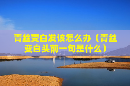 青丝变白发该怎么办（青丝变白头前一句是什么）