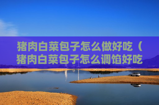 猪肉白菜包子怎么做好吃（猪肉白菜包子怎么调馅好吃）