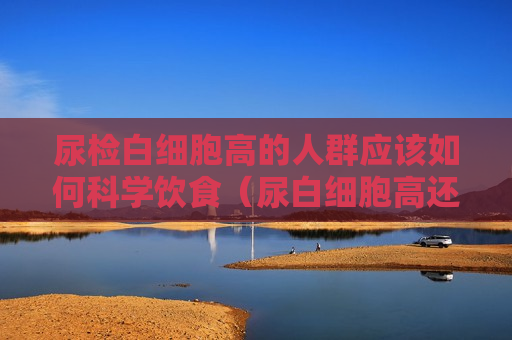 尿检白细胞高的人群应该如何科学饮食（尿白细胞高还需要进一步做什么检查）