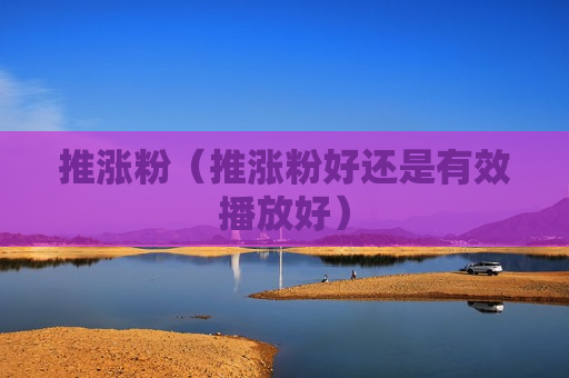推涨粉（推涨粉好还是有效播放好）