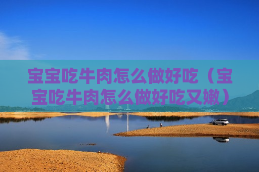 宝宝吃牛肉怎么做好吃（宝宝吃牛肉怎么做好吃又嫩）