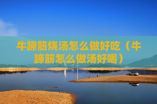 牛蹄筋烧汤怎么做好吃（牛蹄筋怎么做汤好喝）