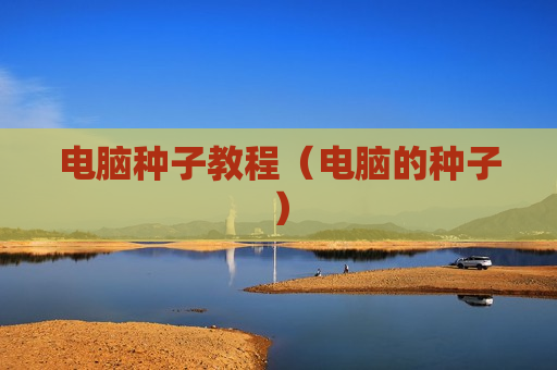 电脑种子教程（电脑的种子）