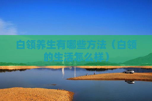 白领养生有哪些方法（白领的生活怎么样）