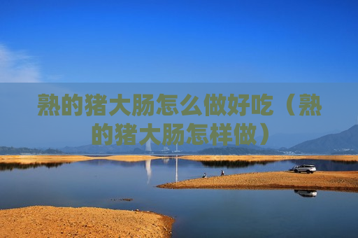 熟的猪大肠怎么做好吃（熟的猪大肠怎样做）