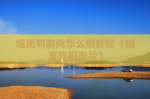 烟熏鸭胸肉怎么做好吃（烟熏鸭胸肉片）