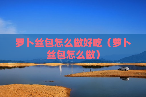 罗卜丝包怎么做好吃（萝卜丝包怎么做）