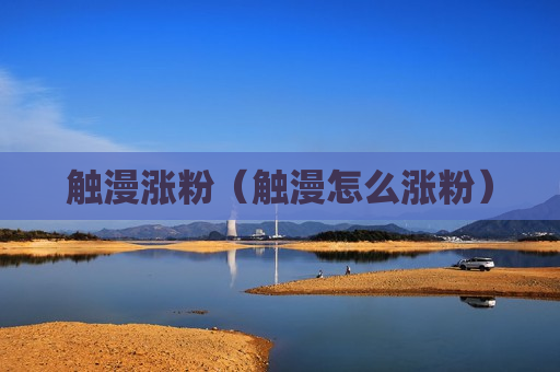 触漫涨粉（触漫怎么涨粉）