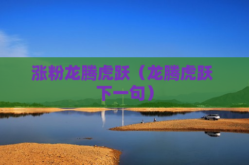 涨粉龙腾虎跃（龙腾虎跃 下一句）