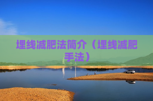 埋线减肥法简介（埋线减肥手法）