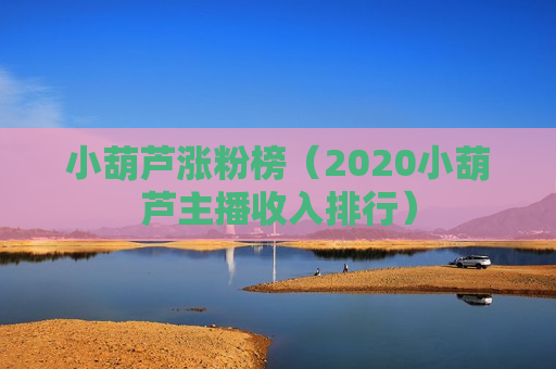 小葫芦涨粉榜（2020小葫芦主播收入排行）