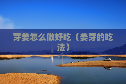 芽姜怎么做好吃（姜芽的吃法）