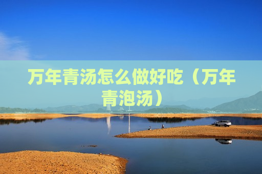 万年青汤怎么做好吃（万年青泡汤）