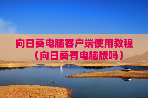 向日葵电脑客户端使用教程（向日葵有电脑版吗）