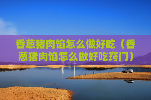 香葱猪肉馅怎么做好吃（香葱猪肉馅怎么做好吃窍门）
