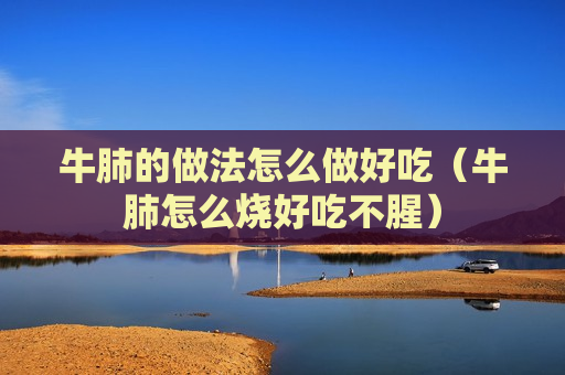 牛肺的做法怎么做好吃（牛肺怎么烧好吃不腥）