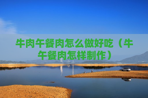 牛肉午餐肉怎么做好吃（牛午餐肉怎样制作）