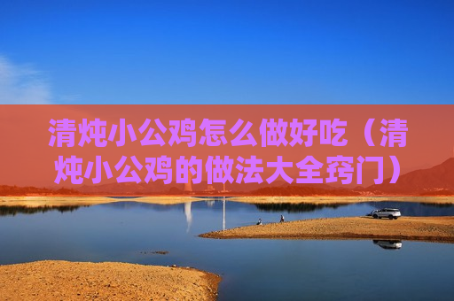 清炖小公鸡怎么做好吃（清炖小公鸡的做法大全窍门）