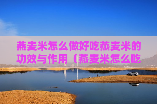 燕麦米怎么做好吃燕麦米的功效与作用（燕麦米怎么吃最有营养）