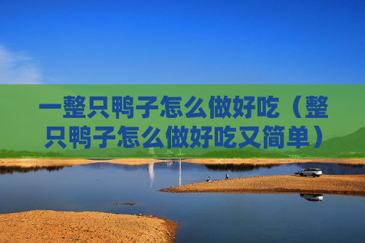 一整只鸭子怎么做好吃（整只鸭子怎么做好吃又简单）