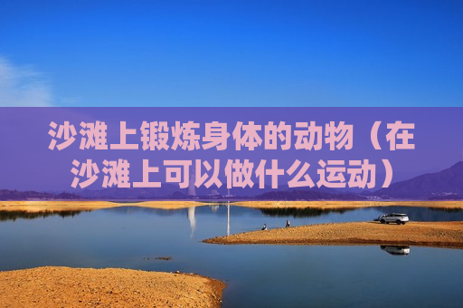 沙滩上锻炼身体的动物（在沙滩上可以做什么运动）