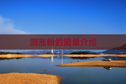 测涨粉的简单介绍