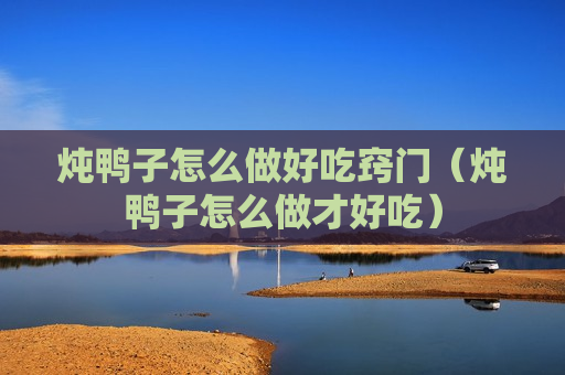 炖鸭子怎么做好吃窍门（炖鸭子怎么做才好吃）
