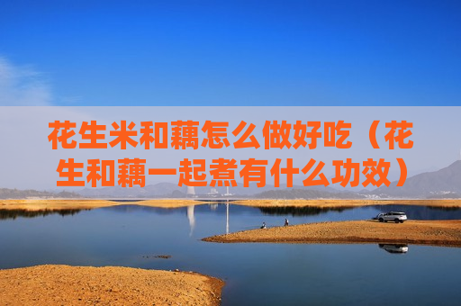 花生米和藕怎么做好吃（花生和藕一起煮有什么功效）