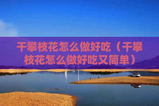 干攀枝花怎么做好吃（干攀枝花怎么做好吃又简单）