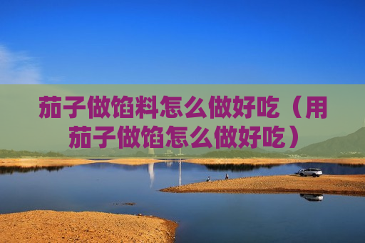 茄子做馅料怎么做好吃（用茄子做馅怎么做好吃）