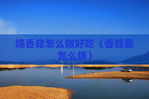 烧香菇怎么做好吃（香菇要怎么烧）