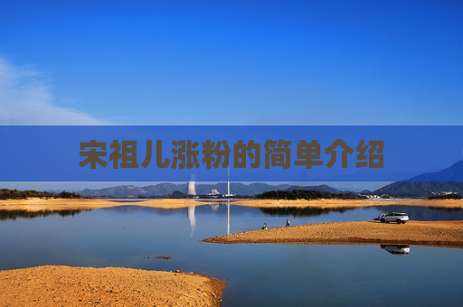 宋祖儿涨粉的简单介绍