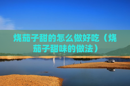 烧茄子甜的怎么做好吃（烧茄子甜味的做法）