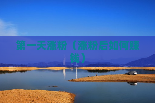 第一天涨粉（涨粉后如何赚钱）