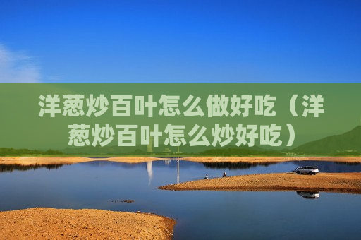 洋葱炒百叶怎么做好吃（洋葱炒百叶怎么炒好吃）