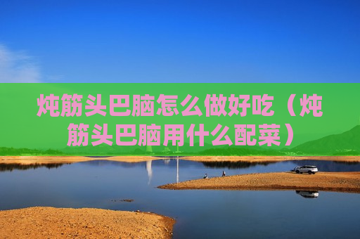 炖筋头巴脑怎么做好吃（炖筋头巴脑用什么配菜）